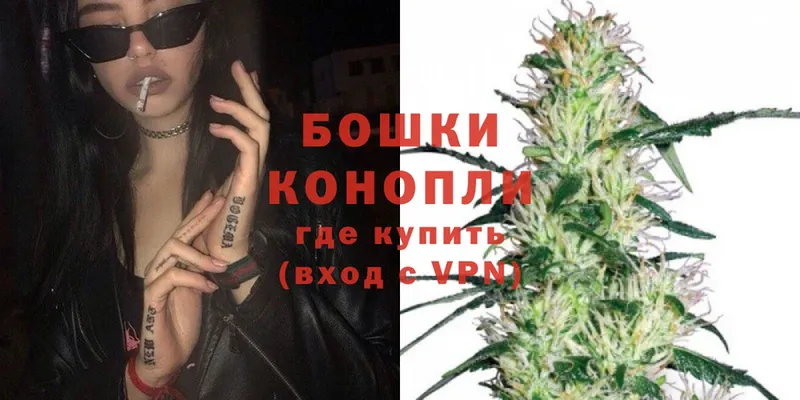 где купить наркотик  Шадринск  Шишки марихуана SATIVA & INDICA 